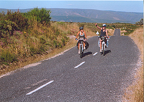 BAR DE LES PETXINES