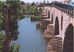 EL RIO DUERO A SU PASO POR ZAMORA