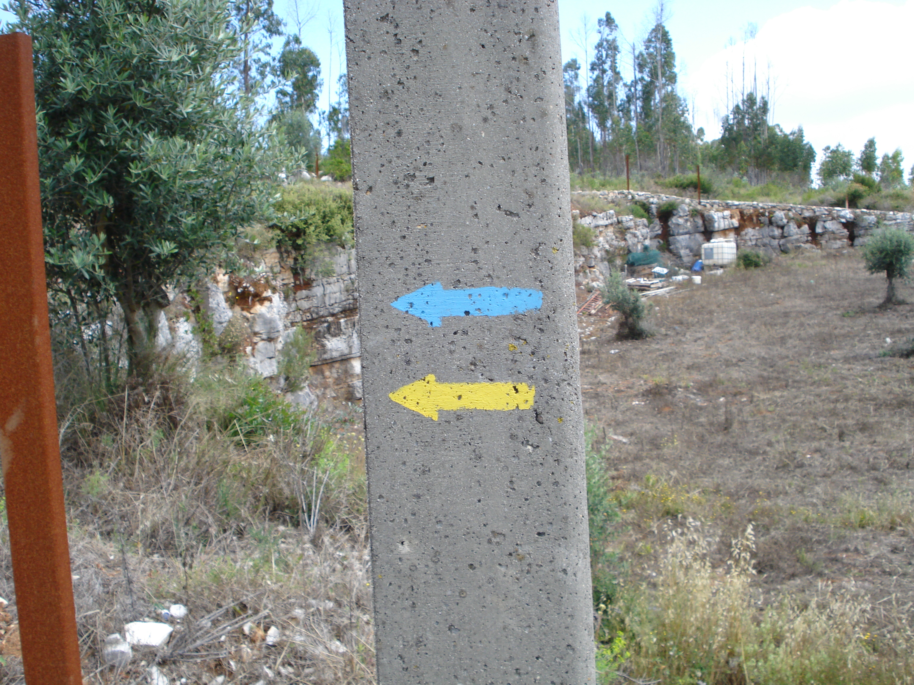 Flechas amarillas a Santiago, las azules para Ftima 