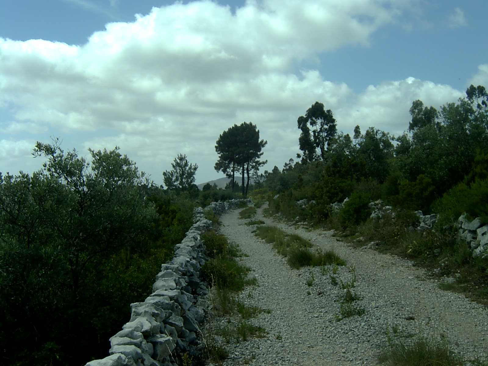 CAMINO PORTUGUES