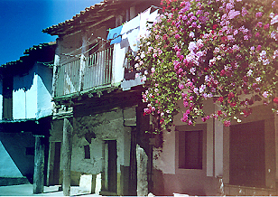 Calzada de Bejar- Calle principal