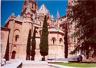 Miliaris cercadel Refugio de Calzada de Valdunciel